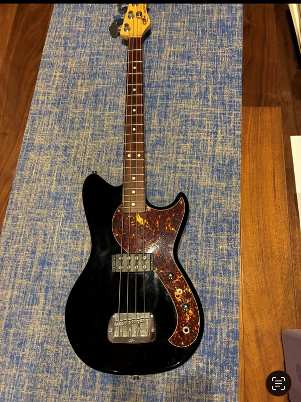 G&L Falloutの画像